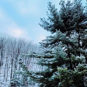 Meet your Posher, Zentangy